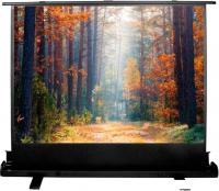 Проекционный экран CACTUS FloorExpert 150x200 CS-PSFLE-200X150