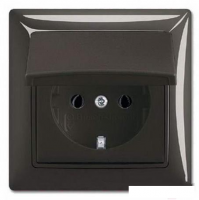 Розетка ABB Basic 55 2018-0-1502 (шато-черный)