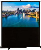 Проекционный экран CACTUS FloorCompactExpert 120x160 CS-PSFLCE-160х120