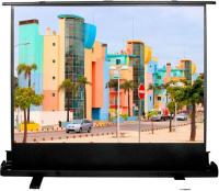Проекционный экран CACTUS FloorExpert 120x160 CS-PSFLE-160х120