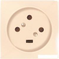 Розетка Legrand 55425 (слоновая кость)