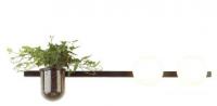 Бра Odeon Light Flower 4681/2W