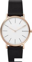 Наручные часы Skagen SKW6430