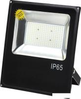 Прожектор Glanzen FAD-0010-100 6000K