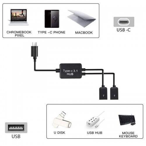 Аксессуар KS-is OTG 2xUSB 2.0/F - USB-C/M KS-813. Фото 2 в описании