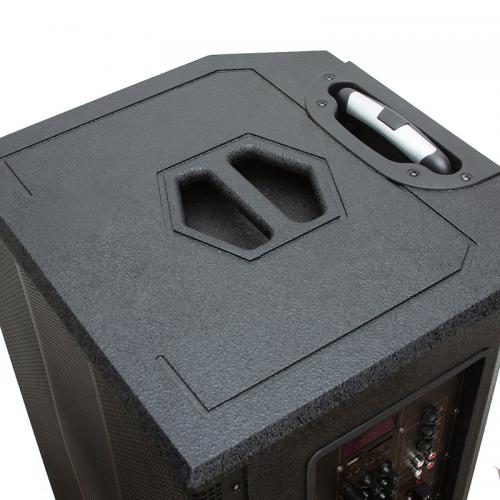 Колонка Eltronic Professional Box Black 20-60. Фото 7 в описании